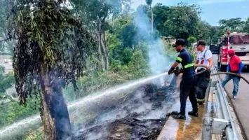 Árbol cae sobre carretera en Luperón y obstruye la vía