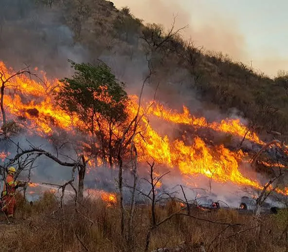 Alerta de emergencia por incendios forestales en República Dominicana