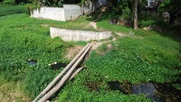 Cancino Adentro y El Tamarindo convocan cacerolazo para este viernes por construcción de puente