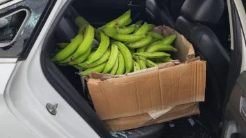 PN evita posible linchamiento de dos hombres soprendidos robando plátanos en Baní