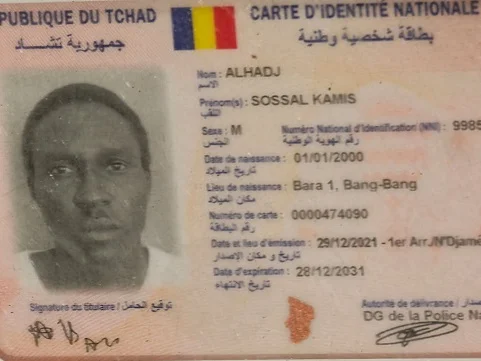Luis Abinader ofrece colaboración a Nayib Bukele contra bandas haitianas