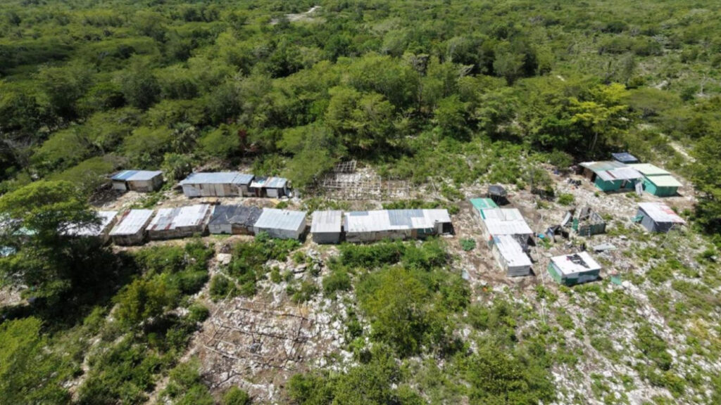 Ambiente desmonta 73 estructuras ilegales en área protegida de Hoyo Claro