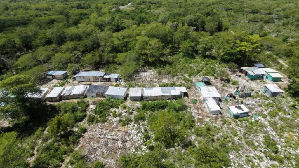Ambiente desmonta 73 estructuras ilegales en área protegida de Hoyo Claro